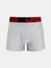 Boxerky UA Tech 3in 2 Pack-GRY XL