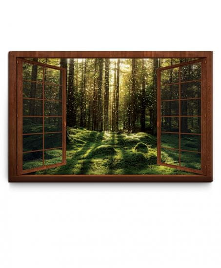 Dalenor 3D obraz Kúzelný machový les, 90x60 cm