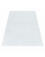 Ayyildiz AKCE: 120x170 cm Kusový koberec Fluffy Shaggy 3500 white 120x170