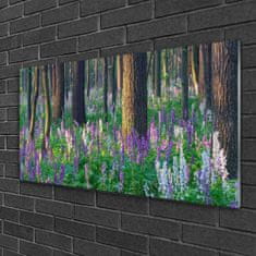 tulup.sk Obraz na akrylátovom skle Les kvety príroda 100x50 cm 2 Prívesky