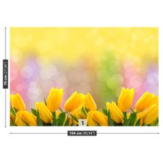 tulup.sk Fototapeta Žlté tulipány Vliesová fototapeta 104x70 cm