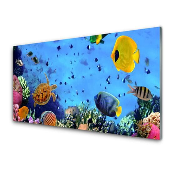 tulup.sk Nástenný panel Koralový útes ryba príroda