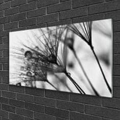 tulup.sk Obraz na akrylátovom skle Abstrakcie rastlina 140x70 cm 2 vešiaky