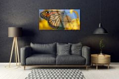 tulup.sk Skleneny obraz Motýľ kvet príroda 125x50 cm 2 vešiaky