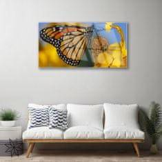 tulup.sk Skleneny obraz Motýľ kvet príroda 125x50 cm 2 vešiaky