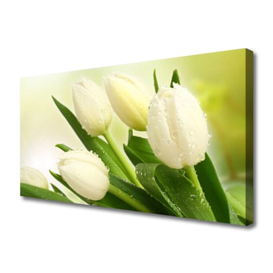 tulup.sk Obraz na plátne Tulipány kvety rastlina
