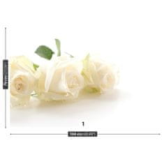 tulup.sk Fototapeta Biele ruže Vliesová fototapeta 104x70 cm
