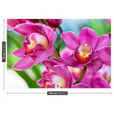 tulup.sk Fototapeta Ružové orchidey Samolepiaca fototapeta 104x70 cm