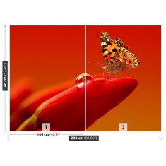 tulup.sk Fototapeta Motýľ tulipán Samolepiaca fototapeta 208x146 cm