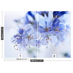 tulup.sk Fototapeta Modré kvety Samolepiaca fototapeta 312x219 cm