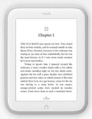 Barnes and Noble Barnes & Noble Nook Simple Touch GlowLight - 2 GB, WiFi