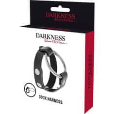 Darkness Darkness Penis Ring + BDSM Testicles