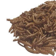 OGF 1,5kg Sušené múčne červy kŕmny hmyz pre ryby, vtákov, ježka, potkana vo vedierku