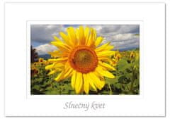 tvorme pohľadnica Slnečný kvet
