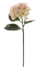 Shishi Hortenzie žlto ružová 70 cm