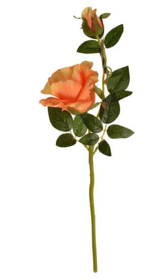 EverGreen Ruža čajová x2, výška 47 cm, oranžová