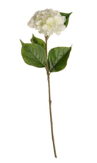 EverGreen Hortenzia, kv. 14 cm, výška 62 cm biela
