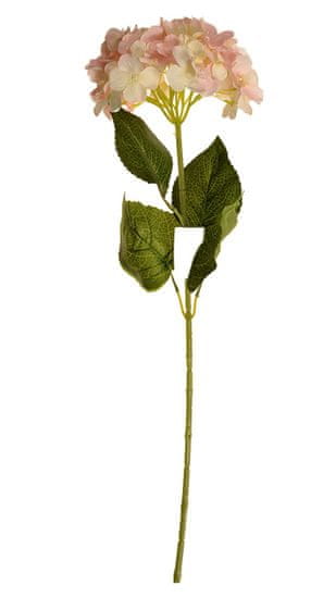EverGreen Hortenzia, kv.18 cm, výška 75 cm svetlá ružová