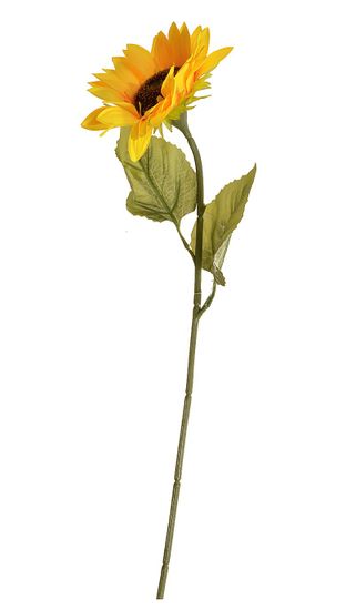 EverGreen Slnečnica, výška 68 cm žltá