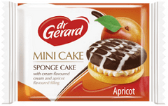 Mini cake 27,3g /24/Dr.Gerard
