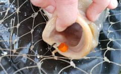Tandem Baits Diffusion 7x10mm Micro Chunks plávajúce 40g, Garlic Candy