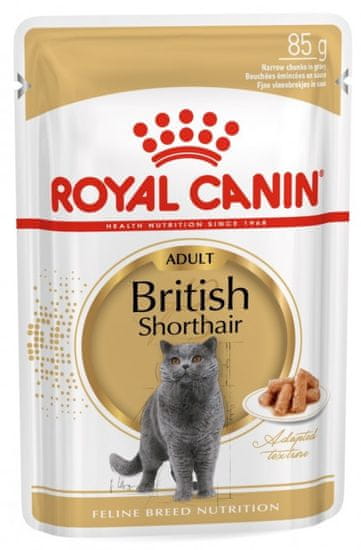 Royal Canin British Shorthair 12x85 g