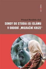 Přemysl Rosůlek: Sondy do studia (o) islámu v období „migrační krize“