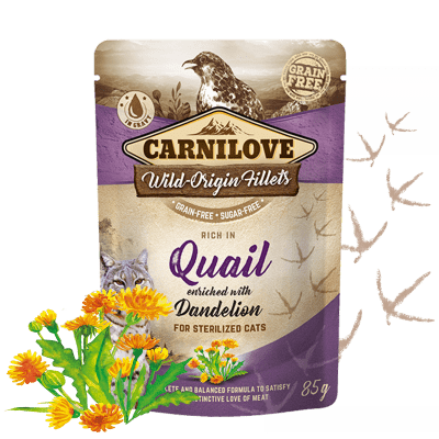 Carnilove Rich in Quail Enriched with Dandelion for sterilized 24x85 g