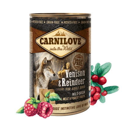 Carnilove Wild Meat Venison & Reindeer 6x 400 g