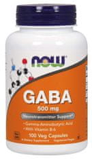 NOW Foods GABA (kyselina gama-aminomaslová) 500 mg + 2mg Vitamín B6, 100 kapsúl