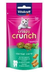 Vitakraft Cat pochúťka Crispy Crunch dental 60g