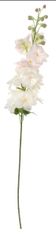 Shishi Delphinium svetlo ružový kvet, výška 95 cm