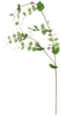 Shishi Fialové kvety hrachora, výška 135 cm
