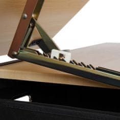 shumee MIADOMODO® Písací stôl s policami, sv. drevo/čierna