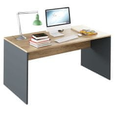 KONDELA Písací stôl Rioma New Typ 16 - grafit / dub artisan