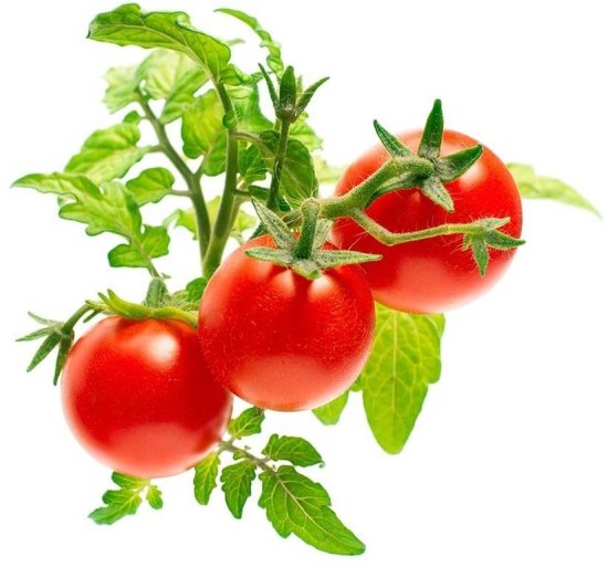 Click and Grow Smart Garden sazenice Mini rajčata (SGMT)