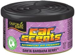 California Scents California Scents Car Scents Lesní plody 42 g