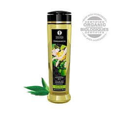 Shunga Organický masážny olej Shunga Erotic Massage Oil ORGANICA Exotic Green Tea 240 ml