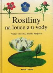Václav Větvička: Rostliny na louce a u vody