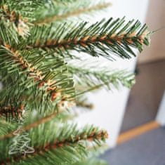 Vianočný stromček Smrek Kaukazský 2D 150 cm