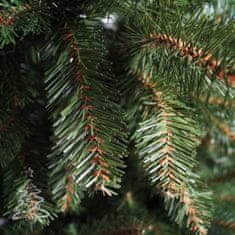 Vianočný stromček Smrek Kaukazský 2D 220 cm