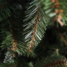 Vianočný stromček Smrek Kaukazský 2D 150 cm