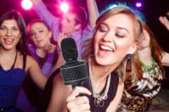 Teddies Mikrofón karaoke Bluetooth čierny na batérie