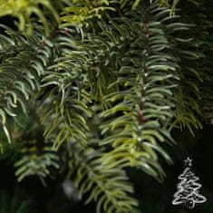 Vianočný stromček Smrek Kašmír 220 cm
