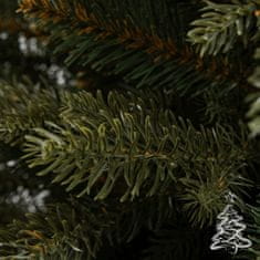 Vianočný stromček Smrek Nepal 250 cm