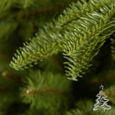 Vianočný stromček Jedľa Nordmann 180 cm
