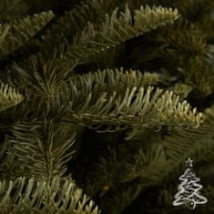 Vianočný stromček Jedľa Kaukazská 100 % 250 cm