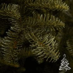 Vianočný stromček Jedľa Kaukazská 100 % 250 cm