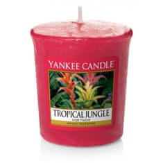 Yankee Candle votívne sviečka Tropical Jungle 49g