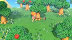 Nintendo Animal Crossing: New Horizons (SWITCH)